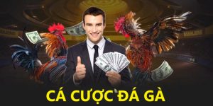 Cá cược đá gà