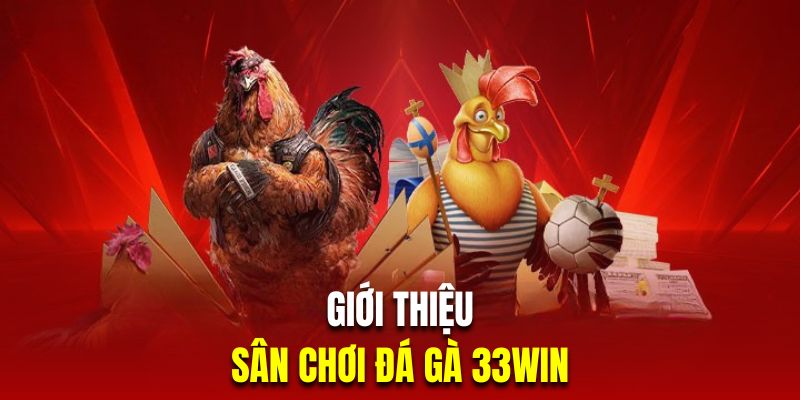 Khám Phá Sân Chơi Đá Gà Trực Tuyến Chuyên Nghiệp