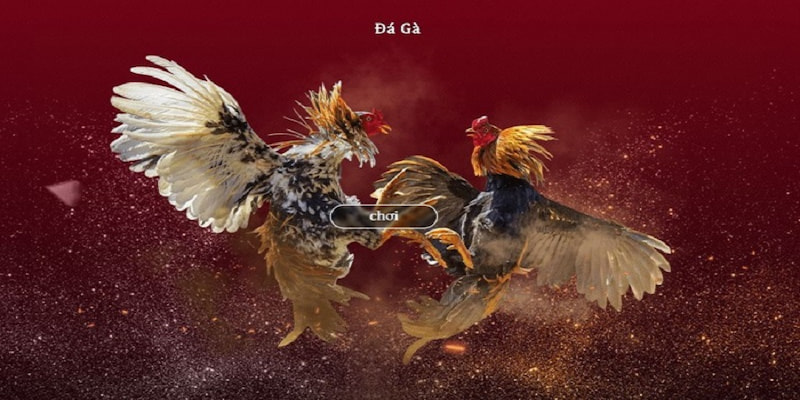 Tổng quan thông tin về sân chơi đá gà 33win