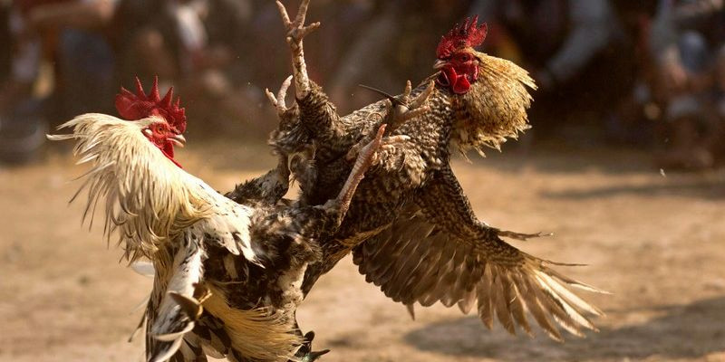 Kỹ năng chiến đấu là yếu tố ảnh hưởng lớn đến kết quả trận đấu