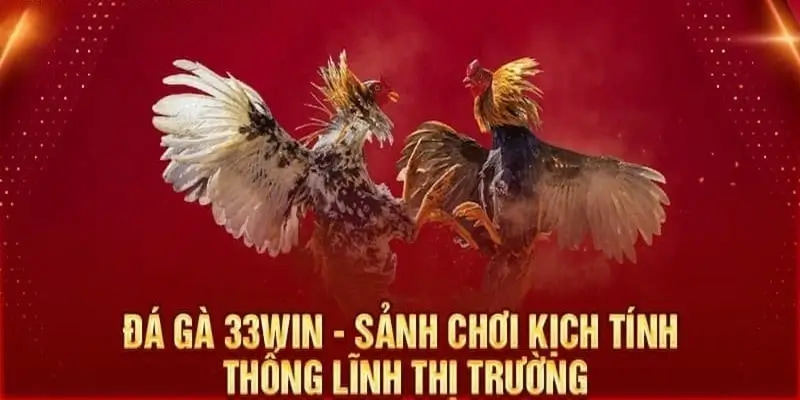 Giải Đá Gà Trực Tiếp – Trải Nghiệm Đích Thực