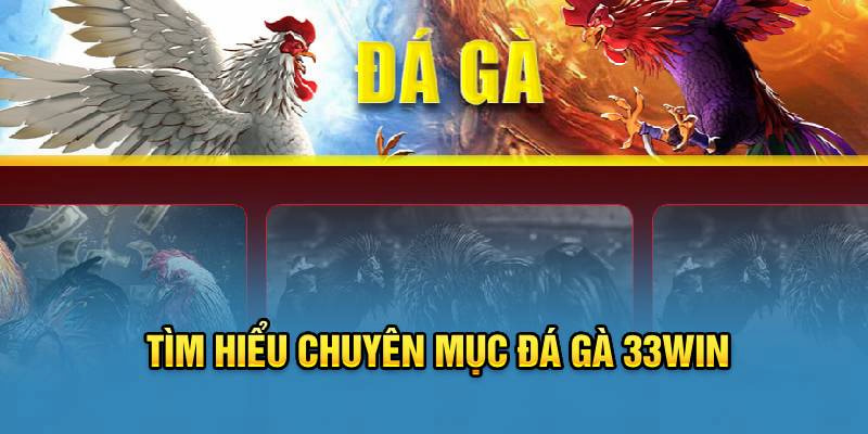 Chiến Lược Cá Cược Thông Minh