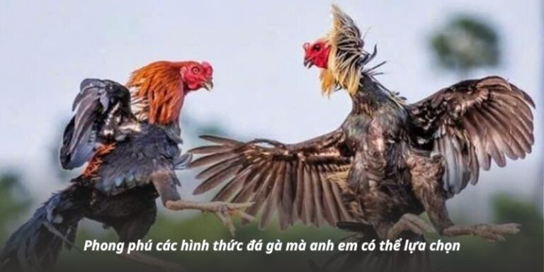 Phong phú các hình thức đá gà mà anh em có thể lựa chọn