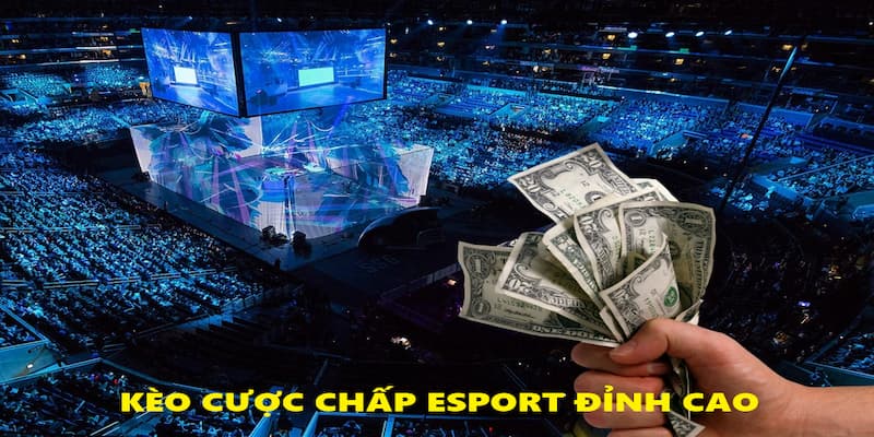 Cược chấp thể thao điện tử đỉnh cao
