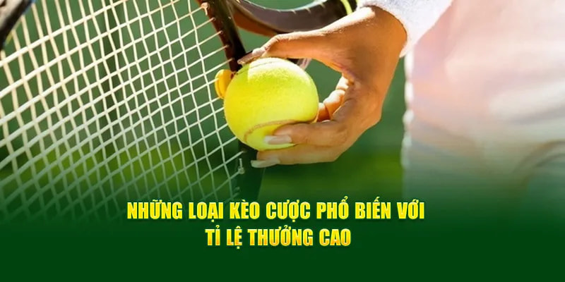 Người chơi có thể đặt cược vào nhiều loại kèo khác nhau