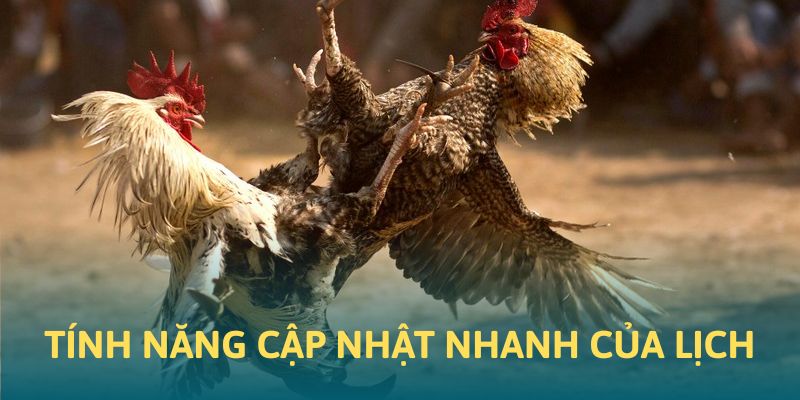 Tính năng cập nhật nhanh chóng trong lịch chọi kê