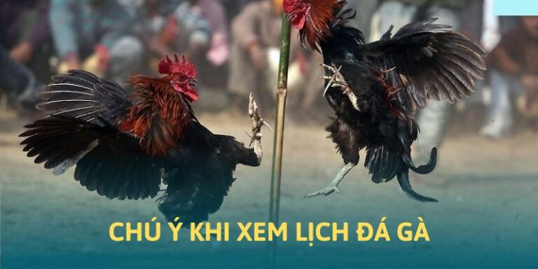 Các chú ý khi xem kế hoạch đá gà 33win