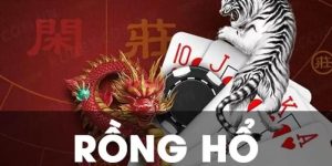 Rồng Hổ
